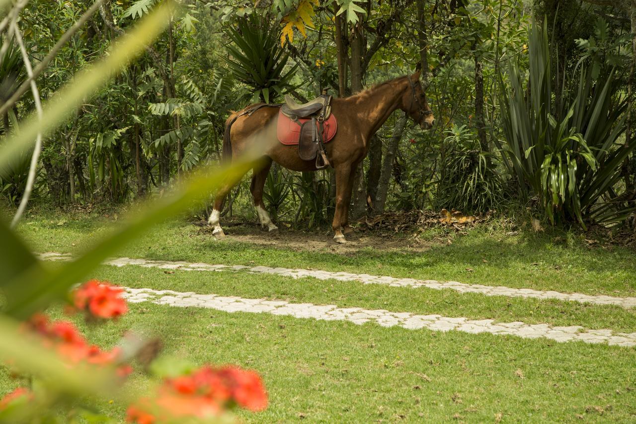 Estancia De La Campina Nono Exterior foto